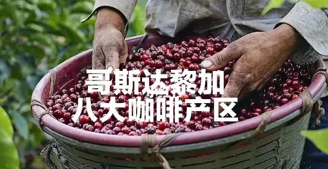 雷火电竞-哥斯达黎加代表团在田径比赛中有所作为的简单介绍