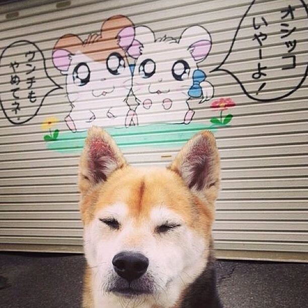 跨洋对决，公牛铁血防守击碎华南虎，布伦森独舞成就关键先生