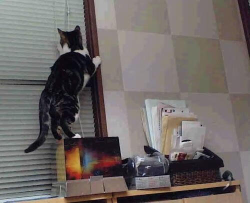 雷火电竞合作-单节狂飙与赛道接管，跨界爆发的统治力艺术