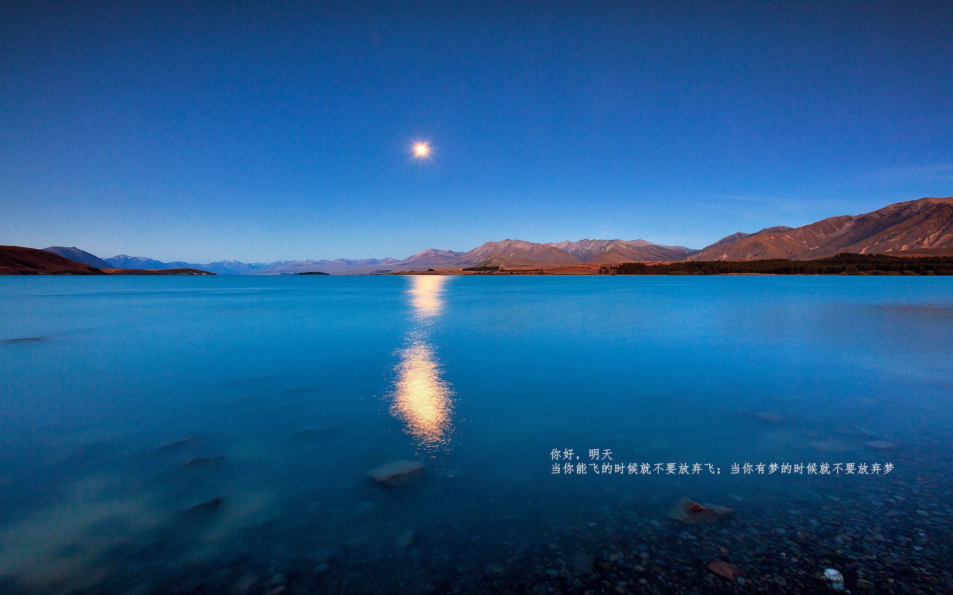 范弗利特关键战不手软，广厦队末节发力带走尼克斯