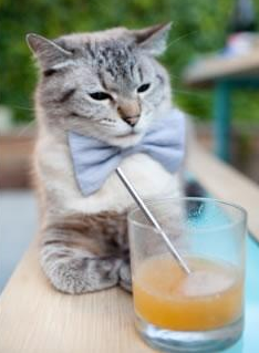 雷火电竞官网-剑指苍穹，努涅斯连续破门锁定意甲焦点战之夜