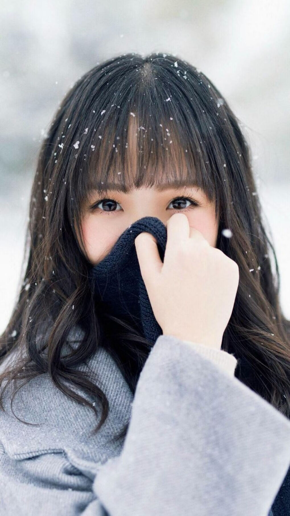 踏破冰原！年度焦点之战，吉林队强势攻克灰熊主场