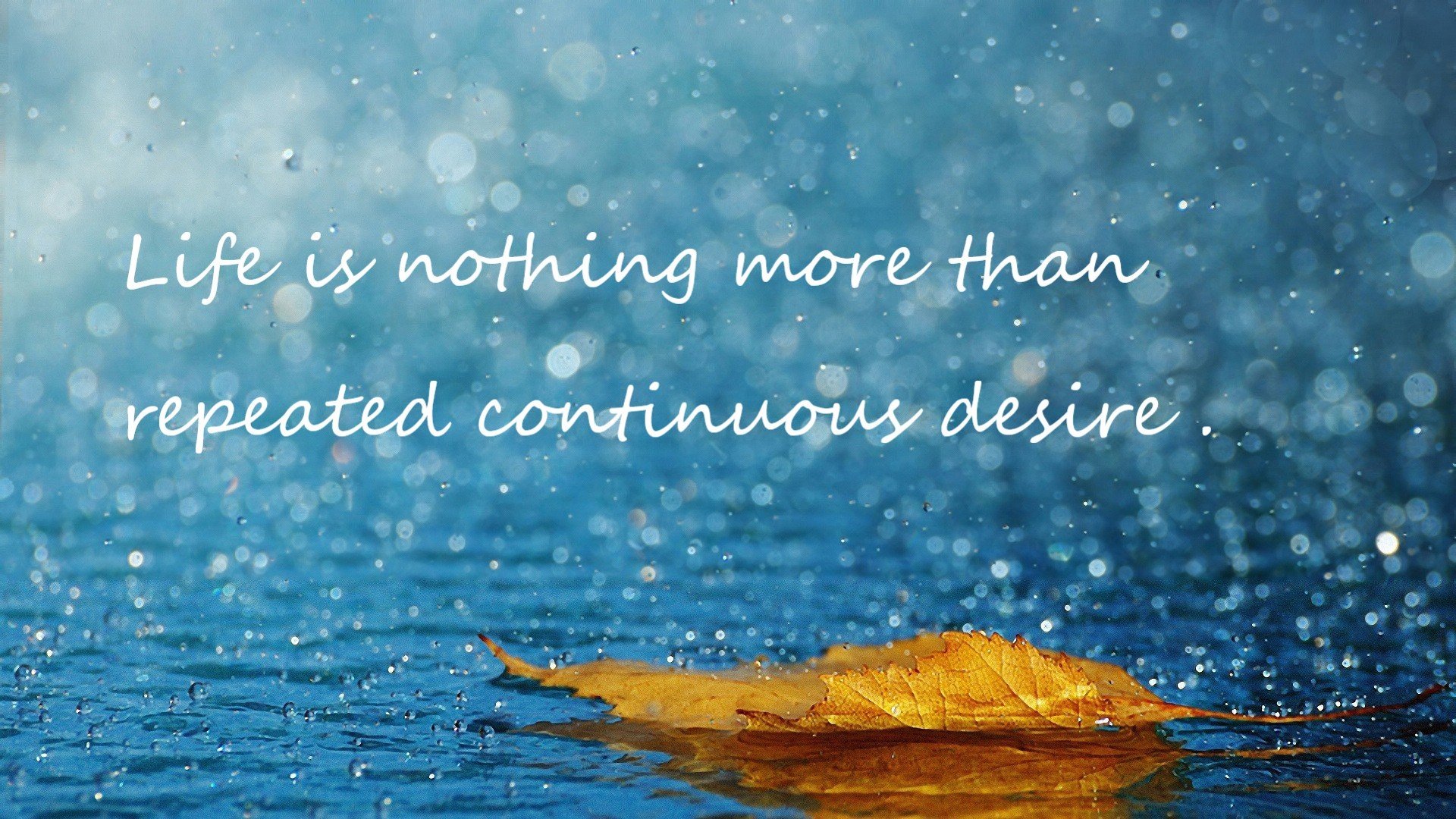 雷火电竞入驻-森林狼鏖战三加时击败篮网 文班亚马赛季最具争议关键球一锤定音