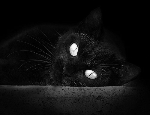 雷火电竞网址-杜兰特狂轰55分刷新CBA纪录，广厦队加时险胜深圳队