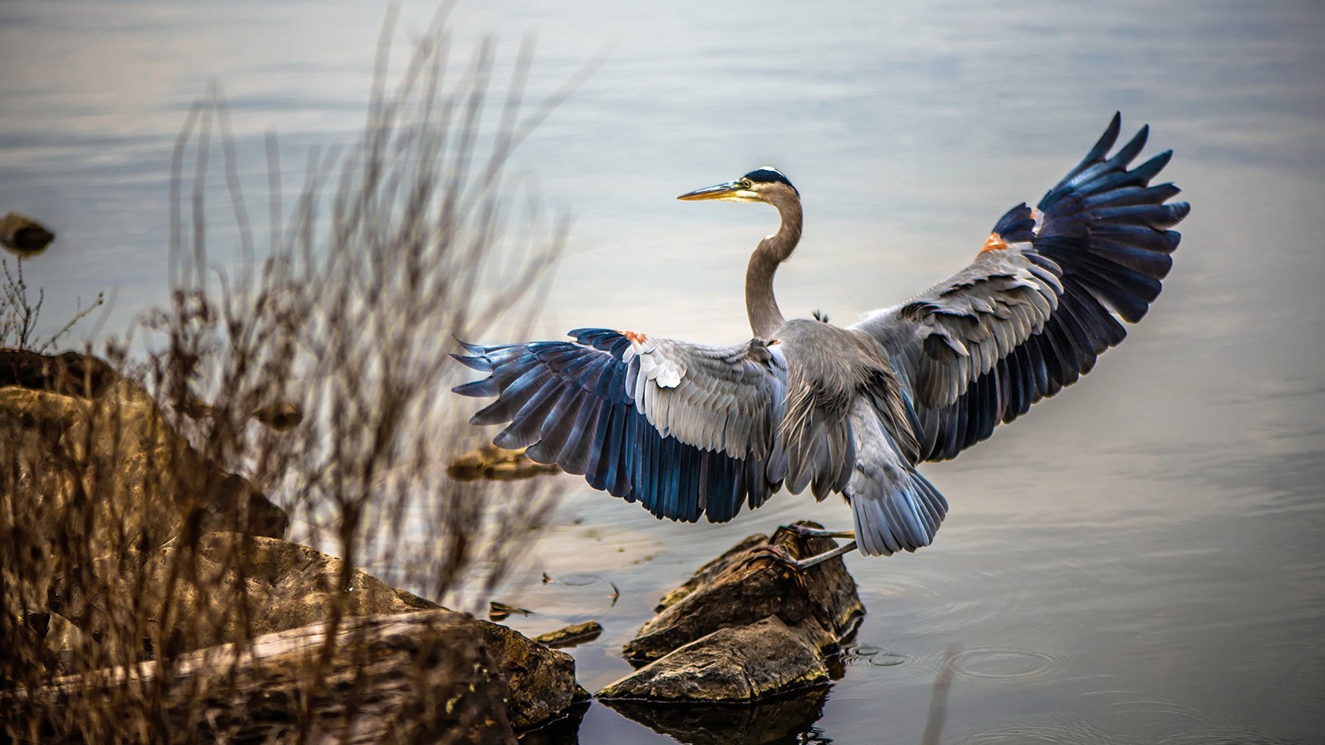 独舞与绝杀，奥亚尔萨瓦尔点燃火焰，塞内加尔在黑暗中擒获胜利