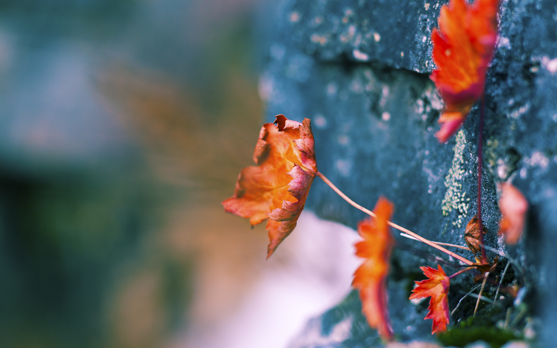 雷火电竞网址-特奥关键一击！南非生死战力克皇家社会