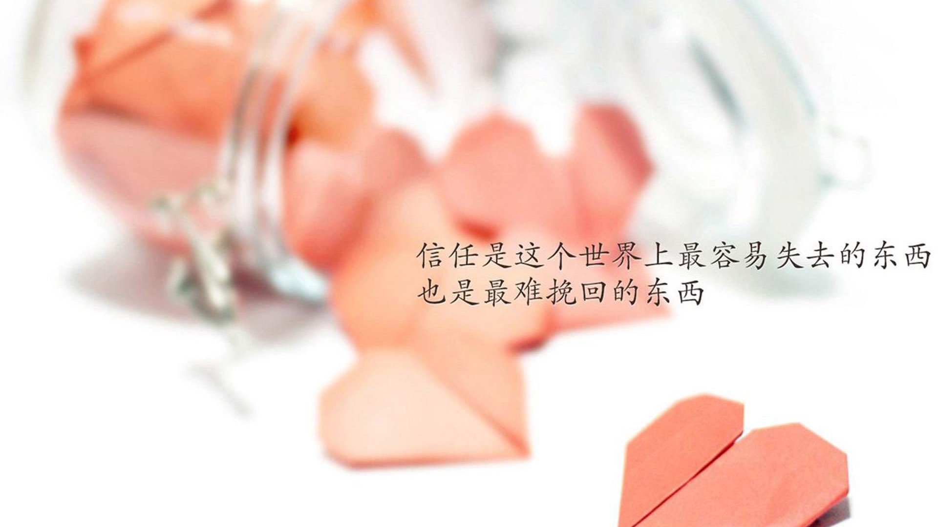 硬仗验真金，福克斯加冕王权，骑士踏过湖人重塑东区格局