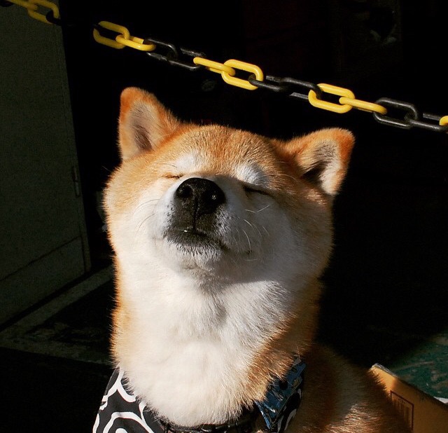 南美铁腰巴尔韦德诠释压制级统治，哥伦比亚连续得分风暴如何将南非防线撕成碎片