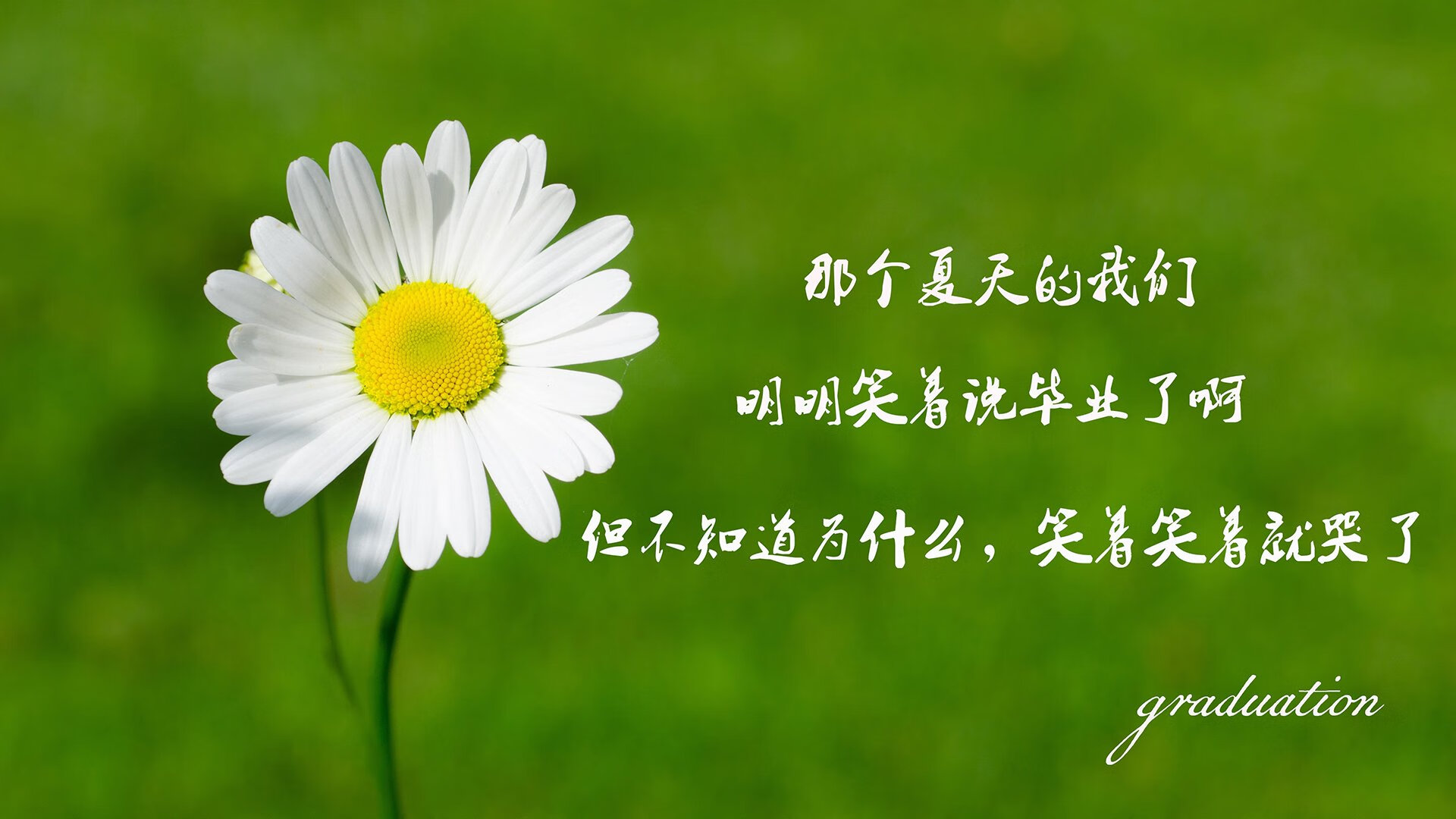 孤星照亮北境,维尼修斯的魔法时刻,尼日利亚在2026世界杯关键战中击溃芬兰